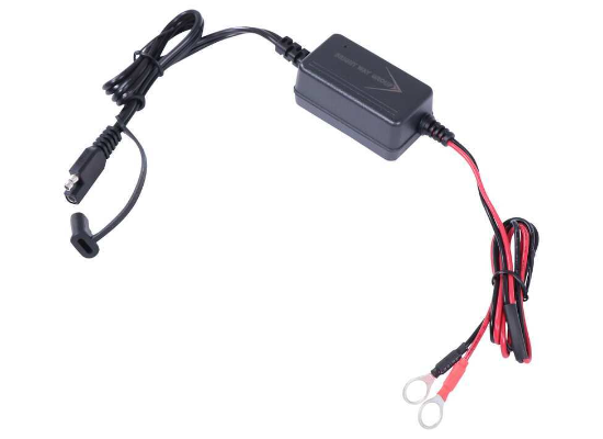 Bright Way Solar Battery Charger and Maintainer - 12 Volt
