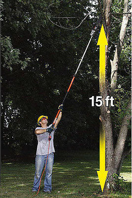 ECHO PPT266 Pole Saw RENTAL ONLY RENTAL ONLY
